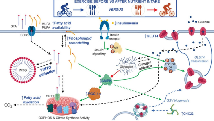 This image has an empty alt attribute; its file name is image-239.png