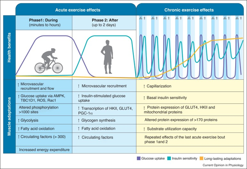 This image has an empty alt attribute; its file name is image-240.png